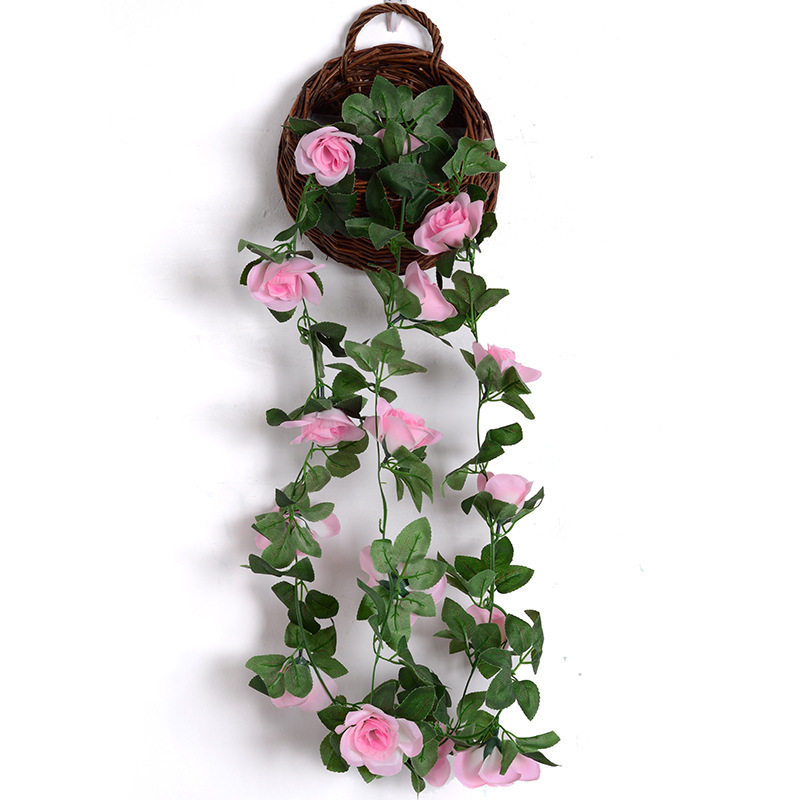 16-cabeza rosa de vid rosa