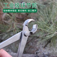 �辰�����򹝼��ձ����Θ������Q�辰��֦�޼��Q���Iƽ�ں����Q