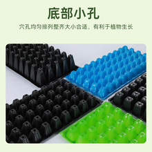 �S�����l50Ѩ����PѨ�P������Nֲ�����߲��������P���������бP