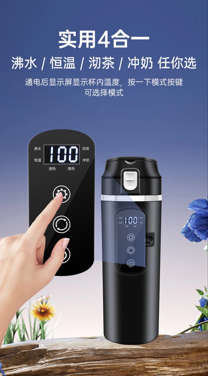 Cross-Border Car Water Kettle 12V24V Universal Electric Heating Water Kettle Car Heating Cup Car Home Dual-Purpose Water Kettle