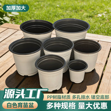 �羳��ɫ�����辰�pɫ���ϼӺ����Nֲ�I�B�����ܻ���������