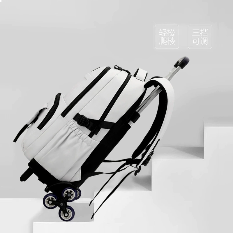 Suitcase, capacity-removable backpack, for average school