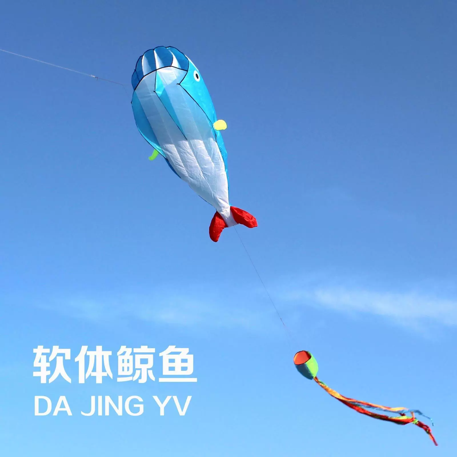 Kite for adults