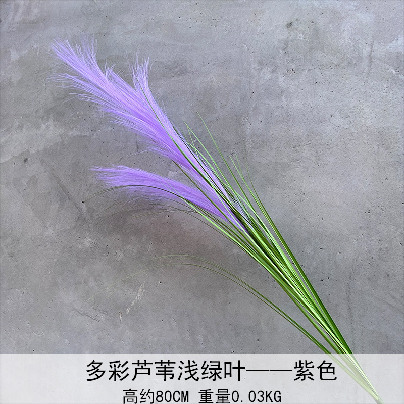 Caña hierba simulación de flores Cai Guoqiang Fuegos artificiales Caña Fuegos artificiales diurnos Fuegos artificiales diurnos Caña Fuegos artificiales