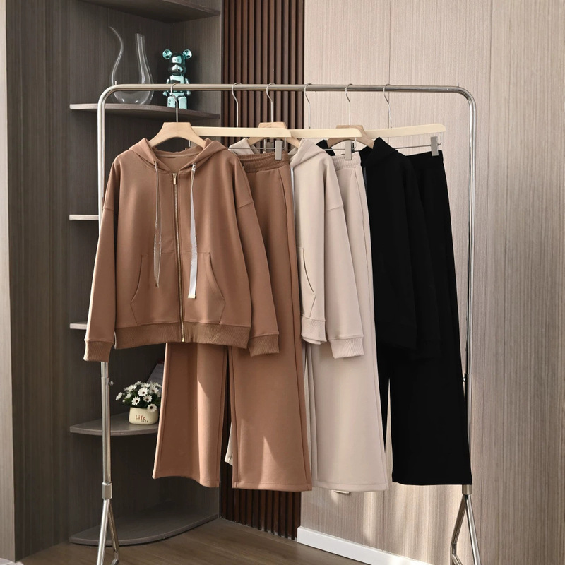 Fashionable casual women's autumn outfit, hooded zip-up sweatshirt and wide-leg pants two-piece set, solid color 082409 Fashionable casual women's autumn outfit, hooded zip-up sweatshirt and wide-leg pants two-piece set, solid color 082409