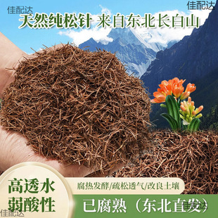 ����{ݮ��ֳ����ᘠI�B����Ȼ���N�軨�����m�������m������