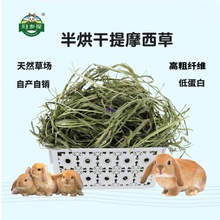 òݕĦݰݚwlጙĪɲüZ