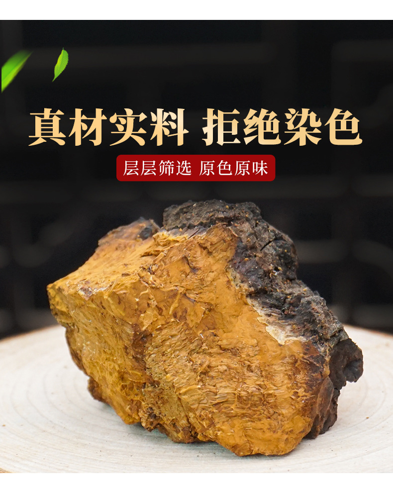 Wild Chaga Mushroom Raw Chunks 40g Long White Mountain Inonotus obliquus Herbal Tea in use