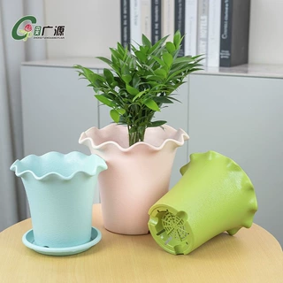 荷叶边花盆家用绿植室内盆栽多肉绿植鲜花塑料彩色荷叶边