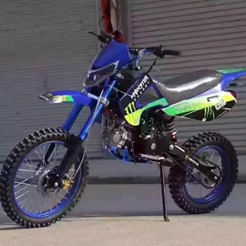 沙滩车;汽摩制造;其他摩托车