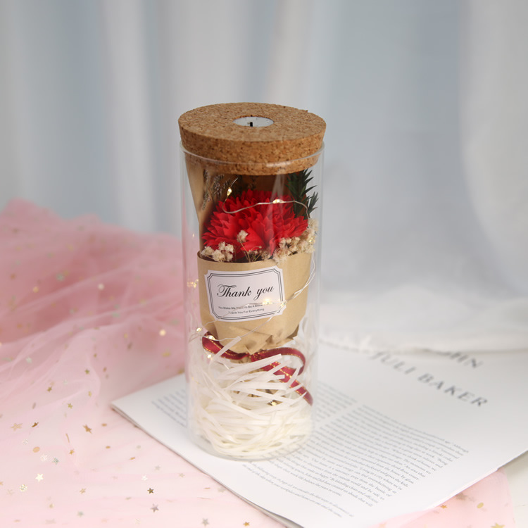 Cadena de luz recta jarrón de vidrio cilíndrico de corcho seco florero creativo transparente florero decoración de escritorio