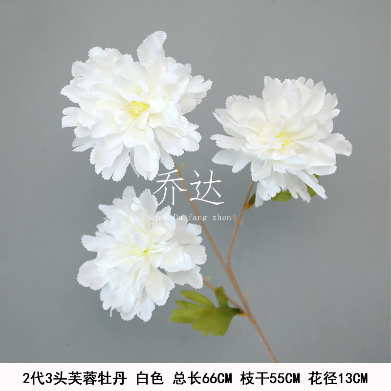 Peonía de hibisco de segunda generación