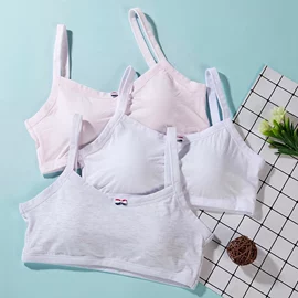 女士三角裤;女士丁字裤;少女文胸