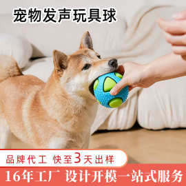 宠物狗狗柴犬边牧发声玩具耐咬磨牙洁齿咬胶自嗨解闷互动训犬玩具
