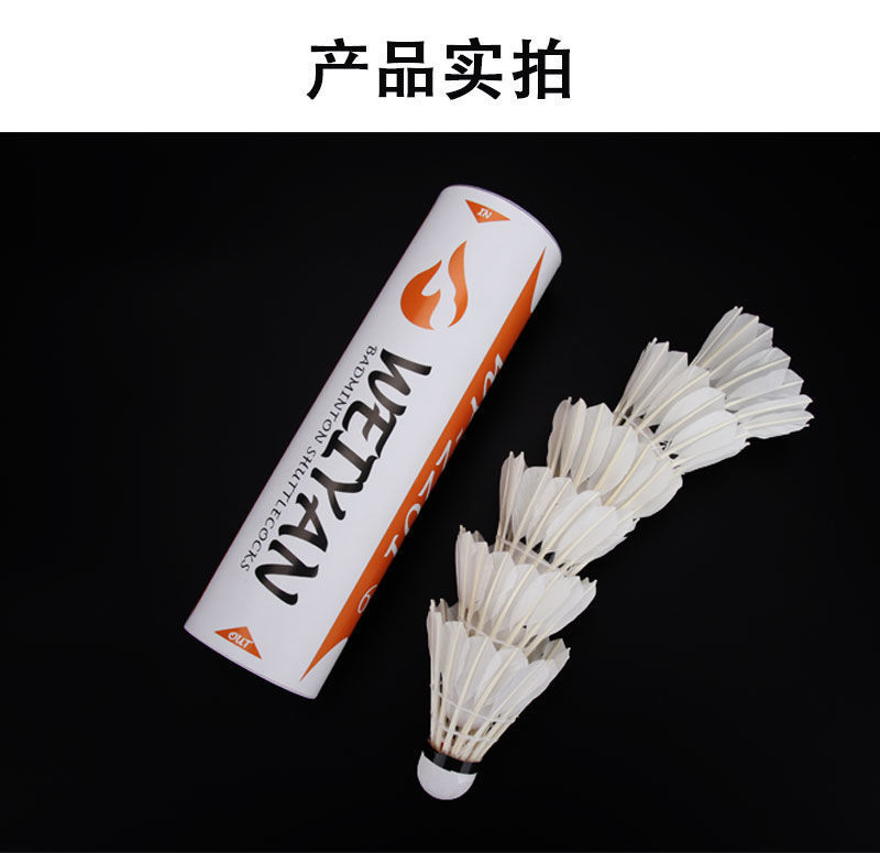 081f861d-36b4-49b9-b069-4125c42f4e02.jpe