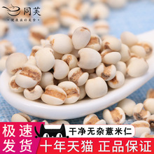 ���x޲����500g��؛С޲���ʠI�B��1�ɴ�t����С��ɏ��l