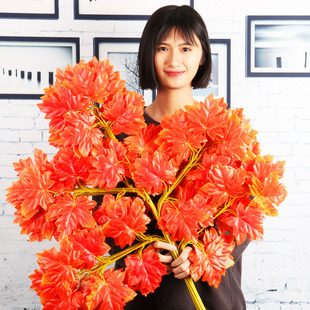 �����Ř�֦�t��֦�҃ȼ٘��y��֦�����Ϙ�֦�����쾰�G�~ֲ���b�