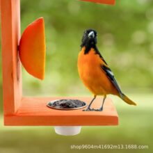 实木蜂鸟喂食器树上悬挂式小鸟食物储存户外园林装饰鸟类水果叉