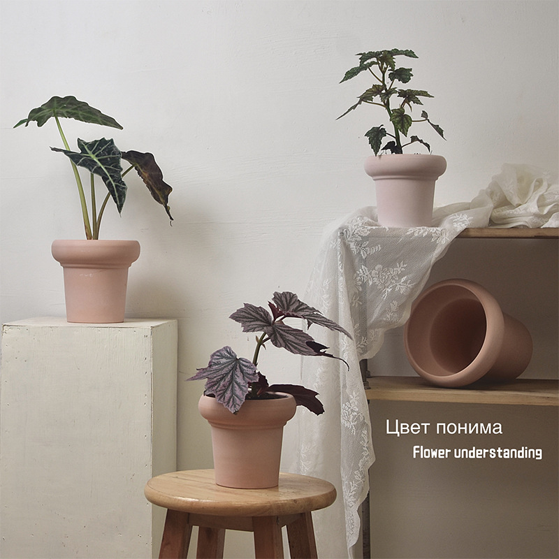 花盆简约兰花盆带托盘鲜花绿萝多肉蕨类盆栽透气红陶室内阳台盆器