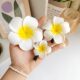 Dai Dress Up Seaside Vacation Egg Flower Hairpin Travel Photo Headwear Flower Side Clip small size Fairy Hairpin