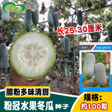 邯圣粉冠水果味冬瓜种子 摘不败毛节瓜小冬瓜四季春天盆栽蔬