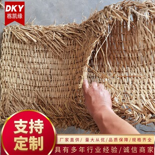 ��Ѵ�o�¹����òݴ� �����������ݾ������o���o���òݰ�