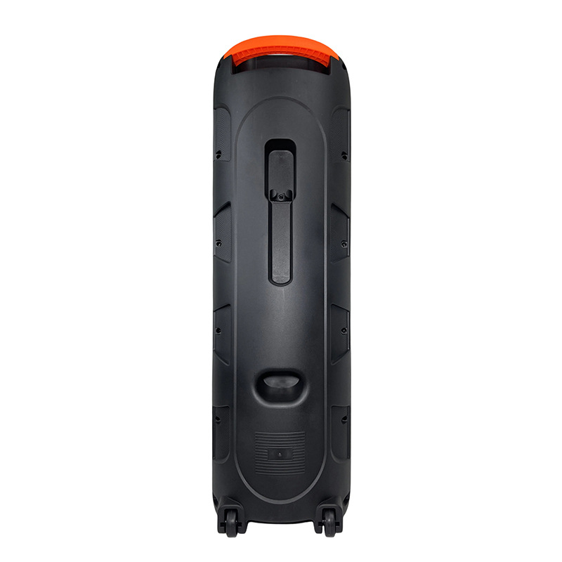 Hot sale transfronterizo doble 10 pulgadas 20W altavoces recargables boda espectáculo de negocios Bluetooth K canción con doble micrófono LED luz de color RTS