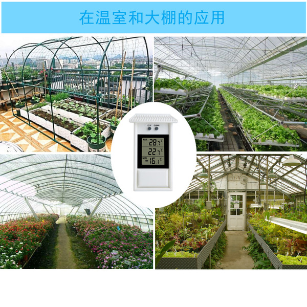 Home garden breeding greenhouse sauna room greenhouse planting…