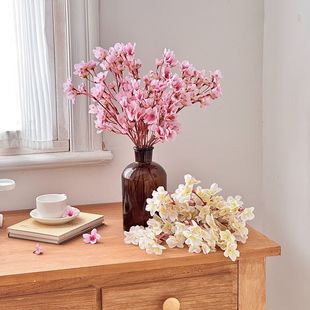 �һ����滨���컨��֦�ѻ��Ҿ��b[�O�ٻ�40cm���һ����R�d�羳