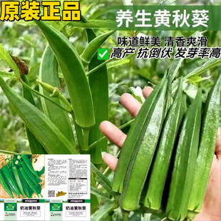 �����S����N��ˮ��������N�Ѵ���߮a�͟��ͺ��̨�����߲˷N��