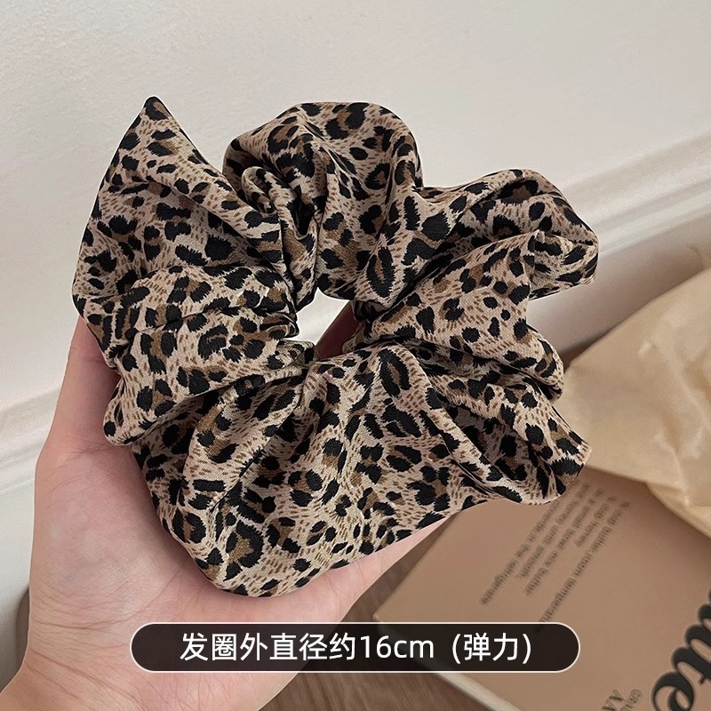 대장머리끈 밝은색 표범무늬