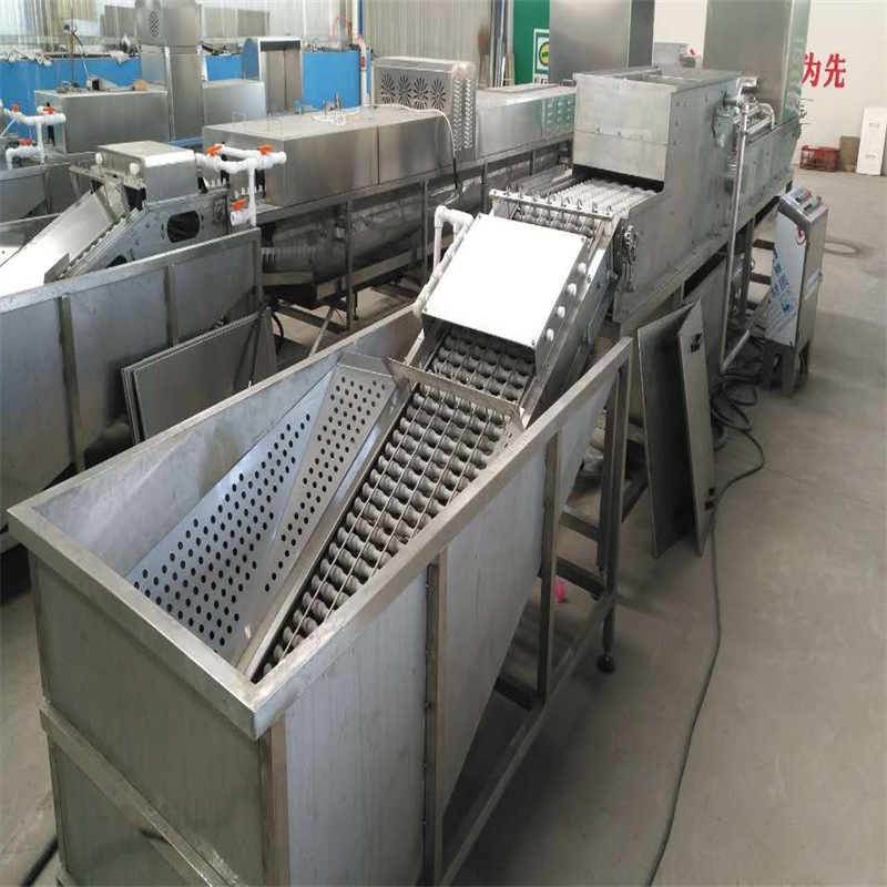 艾格长期供应洗蛋机 鸡蛋清洗机 双排鸭蛋洗蛋机 厂家批发价格实