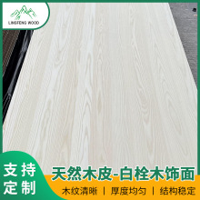 ��ľƴ��ľ��������ľ��汳������匍ľ�NƤȫ���b�މT�b��