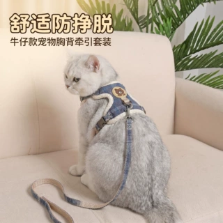 猫猫牵引绳外出绳溜猫绳防挣脱可调节遛猫咪绳遛猫绳宠物项圈批发