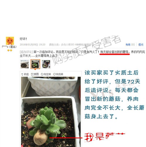 Succulent nutrient soil, planting soil, peat soil, large package flower soil, flower growing soil, potting soil, fertilizer soil