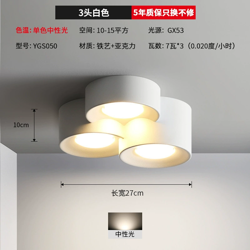 Mounted modern and minimalistic lights for corridor, ceiling light, LED lamp