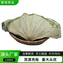 微山荷叶整张荷叶茶荷叶片干荷叶糯米鸡荷叶鸡荷叶饭批发荷叶整张