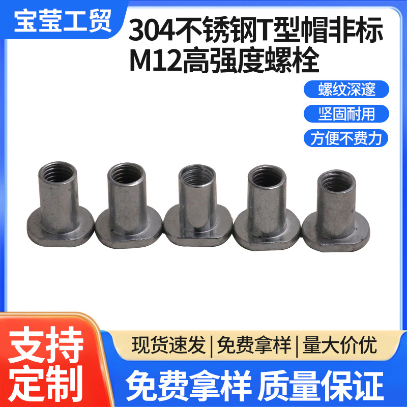 304不锈钢T型螺帽非标M12高强度螺栓平头沉头圆头半空心铆钉