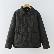 2025���±�ů�����p�㴺�����\���I�޷�Ů���ӽq�Ӻ����ꋌ������