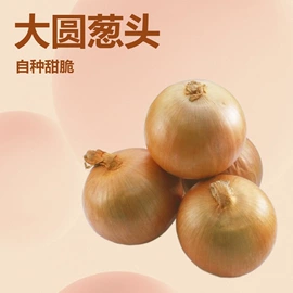 蒜;其他滋补;辣椒彩椒