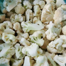 速冻果蔬类;盆栽;其他水果