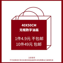 数字油画不可退换低价清仓处理无框挂画颜料涂色需要自己画随机发