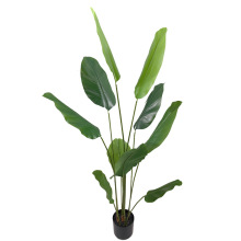 ����ѩ���������Ա��Wɭϵ�쾰�b��҃���ؾGֲ�[��ֲ��