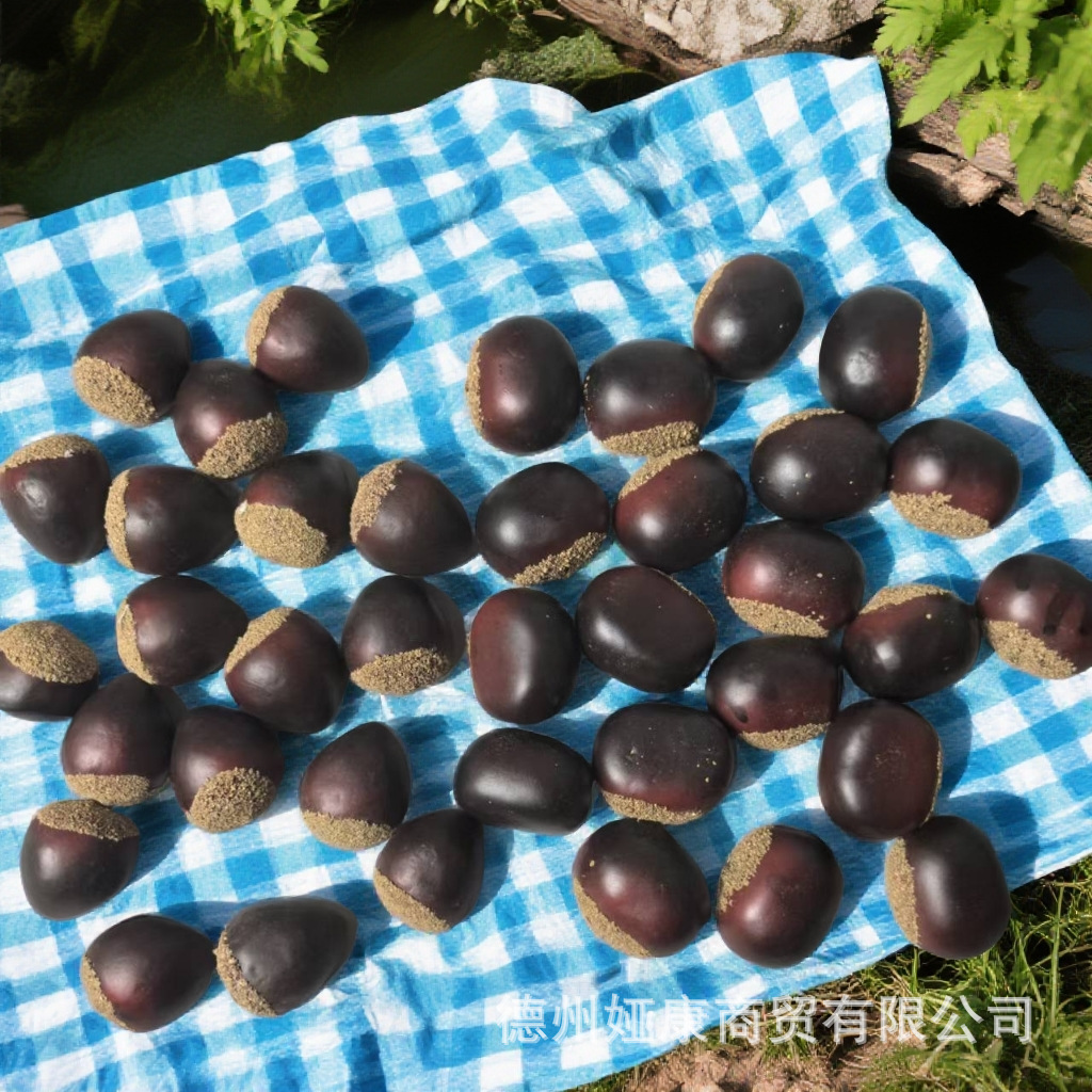 仿真板栗泡沫板栗圣诞配件水果店装饰道具摆拍大小板栗水果模型