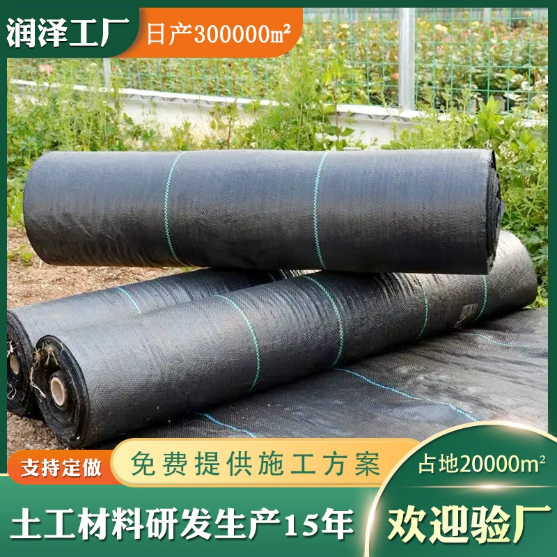 Сельскохозяйственный сад против травы