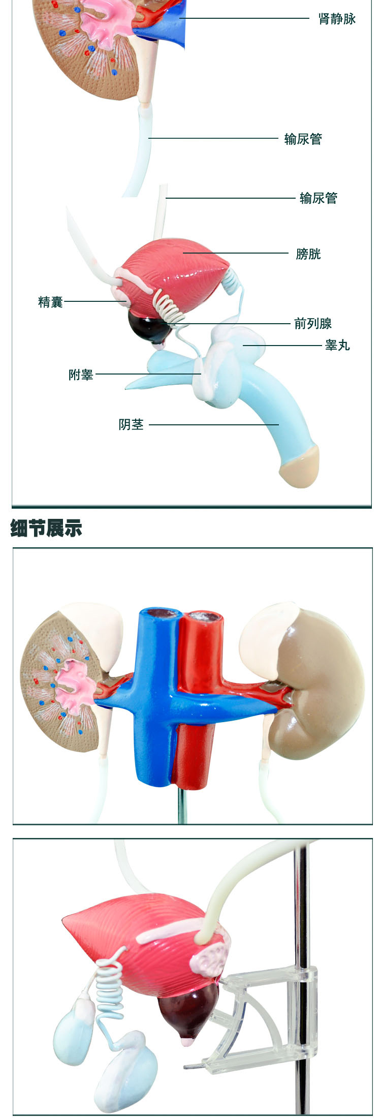 O1CN01Ructx32Kk6XhYK0Ia_!!3578