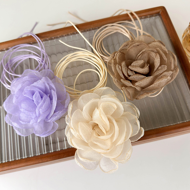 2024_02_26_17_22_IMG_9699