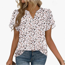 羳RdW2025¿e V IŮbѩ