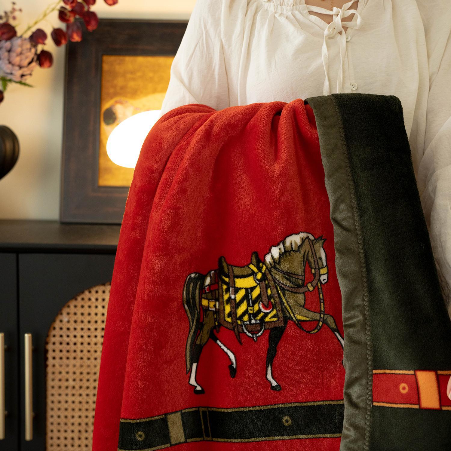 【双层轻奢】高品质云毯北欧毛毯法兰绒珊瑚绒毯子加厚秋冬休jω