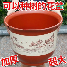 大花盆塑料花盆大号特价清仓仿陶瓷盆果树防晒透气种树专用含托盘